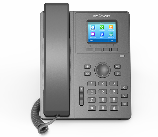 Flyingvoice P11W