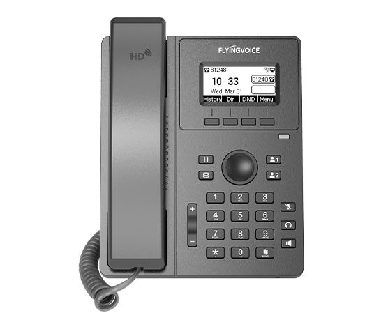 Flyingvoice P10S
